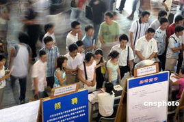 你怎么看待 零薪酬 现象