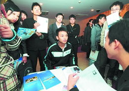校园 职霸 惹争议 多投简历被批占他人求职机会