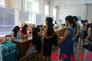 高校毕业生求职热潮 逾千名学子积极入场谋未来