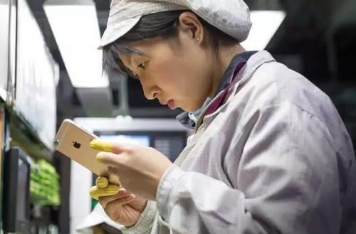 富士康招兵买马备战iPhone 12量产，高校毕业生迎就业新机遇