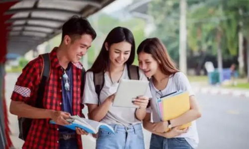 择业路上的明灯 从护士与教师差异看我为何庆幸听从父言